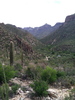 photo thumbnail #5