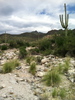 photo thumbnail #7
