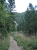 photo thumbnail #5