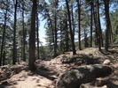 photo thumbnail #7