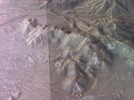 Featured Full Photo
