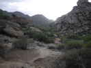 photo thumbnail #11
