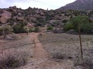 photo thumbnail #10
