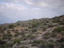 photo thumbnail #15