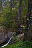 photo thumbnail #6