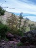 photo thumbnail #4