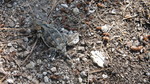 photo thumbnail #14