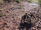 photo thumbnail #1