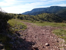 photo thumbnail #4