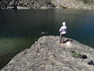 photo thumbnail #10