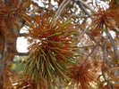 photo thumbnail #15