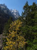 photo thumbnail #15