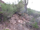 photo thumbnail #2
