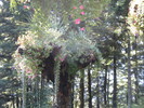 photo thumbnail #15