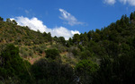 photo thumbnail #10