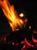 photo thumbnail #11