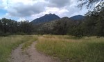 photo thumbnail #2