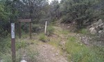 photo thumbnail #10
