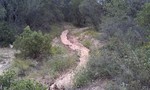photo thumbnail #11