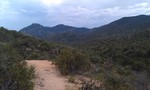 photo thumbnail #13
