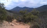 photo thumbnail #14