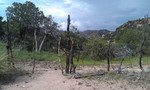 photo thumbnail #15