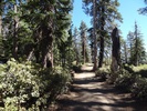 photo thumbnail #10