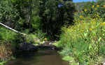 photo thumbnail #9