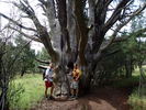 photo thumbnail #14