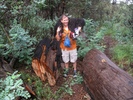 photo thumbnail #3