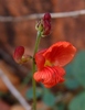 photo thumbnail #15