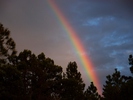 photo thumbnail #14
