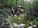 photo thumbnail #3