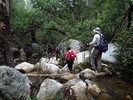 photo thumbnail #5