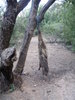 photo thumbnail #7