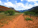 photo thumbnail #4