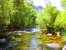 photo thumbnail #12
