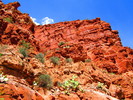 photo thumbnail #13