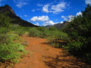 photo thumbnail #14
