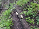 photo thumbnail #6