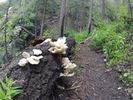 photo thumbnail #7