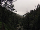 photo thumbnail #10