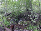 photo thumbnail #14