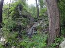 recent photo