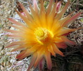 photo thumbnail #10