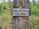 photo thumbnail #11