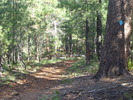 photo thumbnail #5