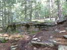 photo thumbnail #6