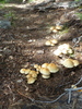 photo thumbnail #9