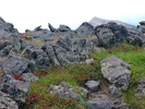 photo thumbnail #7
